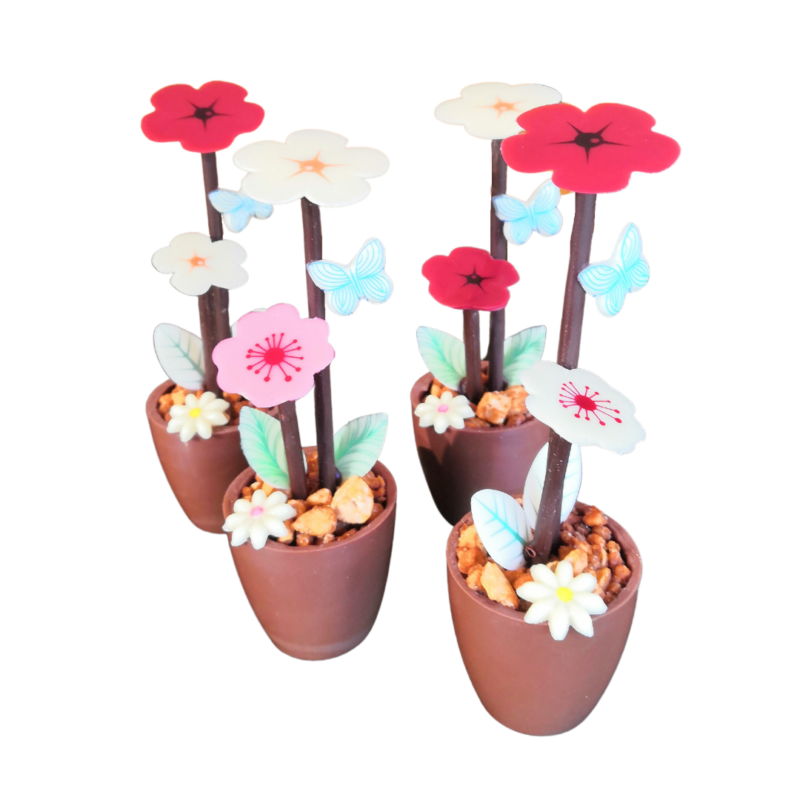 les-gourmandises-de-manon-chocolaterie-passy-chedde-artisanal-chocolatiere-confiseur-manon-chenaval-fete-des-meres-cadeau-pot