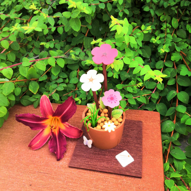 les-gourmandises-de-manon-chocolaterie-passy-chedde-artisanal-confiseries-pot-de-fleurs-rentree-scolaire.jpg
